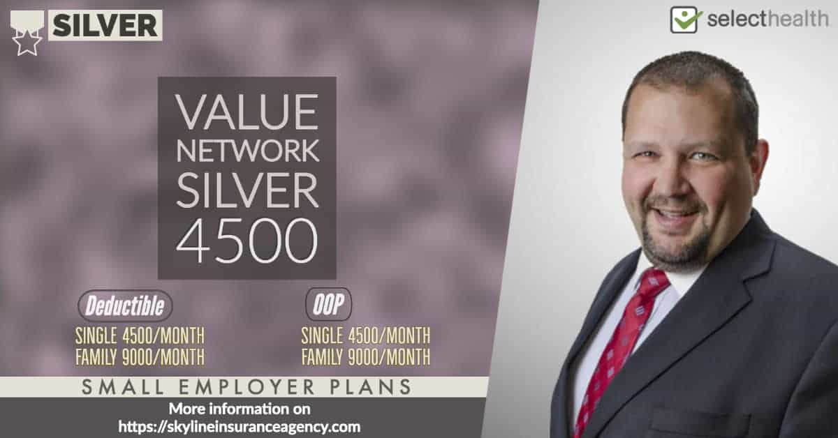 Value Network Silver 4500 Small Employer