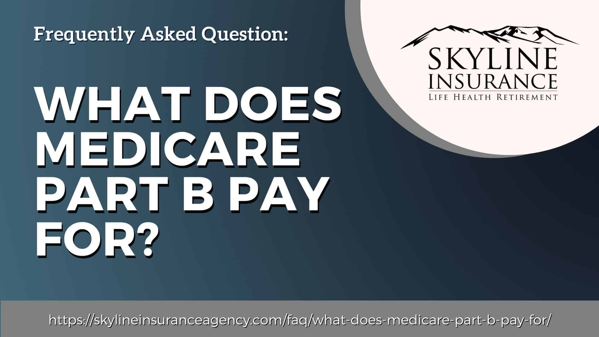 what-does-medicare-part-b-pay-for-skyline-insurance-agency-inc