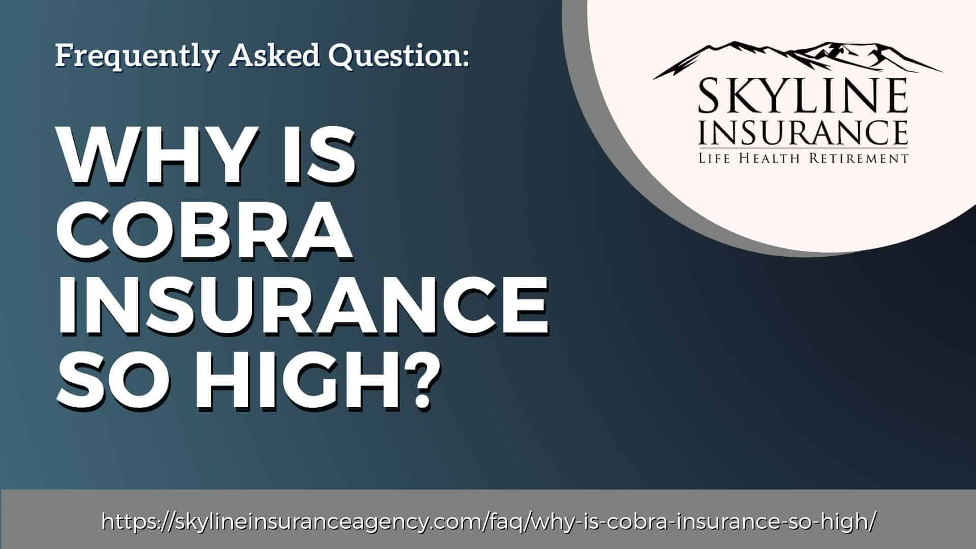 Why is cobra insurance so high? Skyline Insurance Agency, Inc