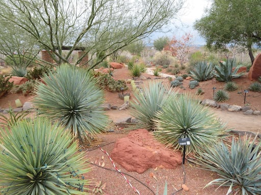 Red Hills Desert Garden in St George Utah - Skyline Insurance Agency, Inc