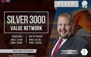 Silver 3000 Value Network