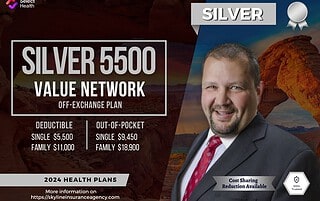 Silver 5500 Value Network